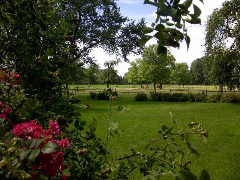 Pension de chevaux La Métairie